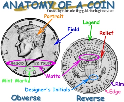 Coin Terms - Anatomy of a Coin